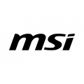 MSI